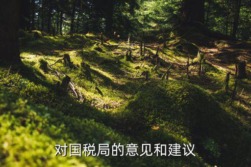 如何給稅務(wù)部門改革提建議，關(guān)于進一步深化稅收征管改革的意見的工作建議