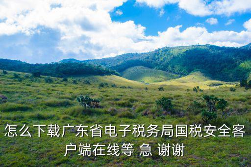 廣州電子稅務(wù)局如何登陸，怎么下載廣東省電子稅務(wù)局國(guó)稅安全客戶(hù)端在線(xiàn)等 急 謝謝