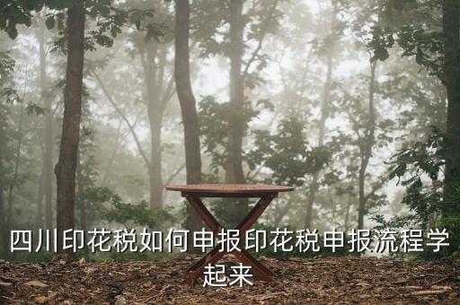 四川企業(yè)地稅如何網(wǎng)上申報，四川地稅企業(yè)所得稅怎么申報