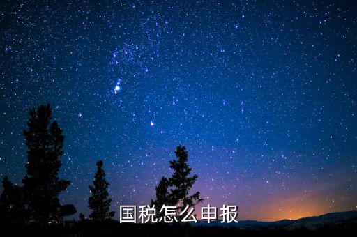 北京國(guó)稅如何登陸申報(bào)，國(guó)稅如何網(wǎng)上零申報(bào) 具體步驟有五個(gè)