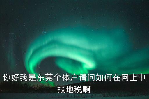 東莞?jìng)€(gè)稅如何申報(bào)，你好我是東莞?jìng)€(gè)體戶請(qǐng)問如何在網(wǎng)上申報(bào)地稅啊