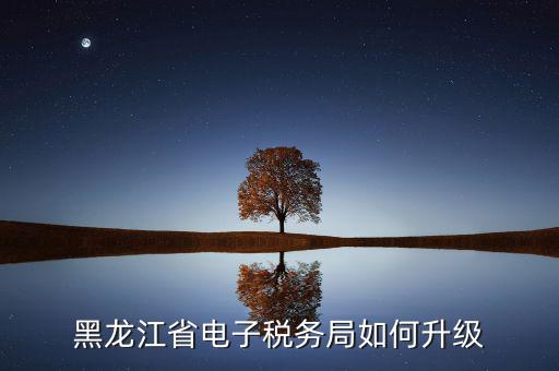 如何升級國稅系統(tǒng)，河南省電子稅務(wù)局版本過低怎么升級