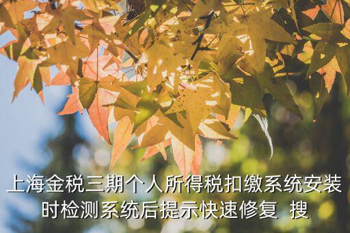 個稅安裝包如何恢復，上海金稅三期個人所得稅扣繳系統(tǒng)安裝時檢測系統(tǒng)后提示快速修復  搜