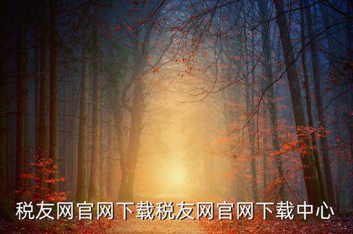稅友如何下載，個(gè)稅在稅友網(wǎng)上下載下來(lái)了然后怎么安裝
