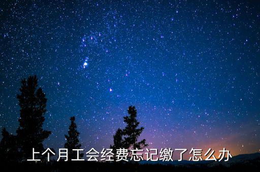 如何補(bǔ)繳上月工會經(jīng)費(fèi)地稅，工會經(jīng)費(fèi)上月已申報但未繳費(fèi)本月可以補(bǔ)交嗎在哪里補(bǔ)交是在報稅系統(tǒng)