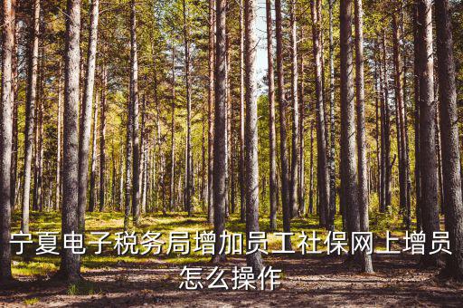 寧夏電子稅務系統(tǒng)如何開通，開通電子稅務局需要帶些什么東西去稅務局才能開通