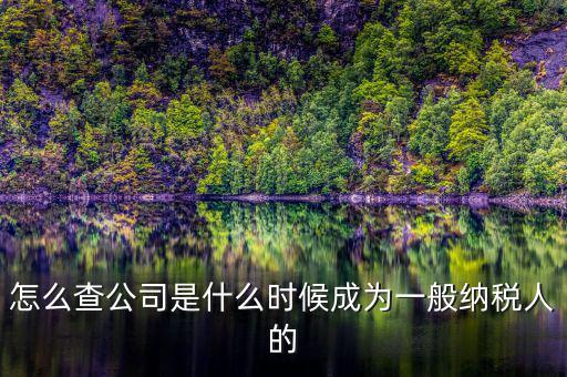 如何查詢一般人納稅認定時間，怎么查公司是什么時候成為一般納稅人的