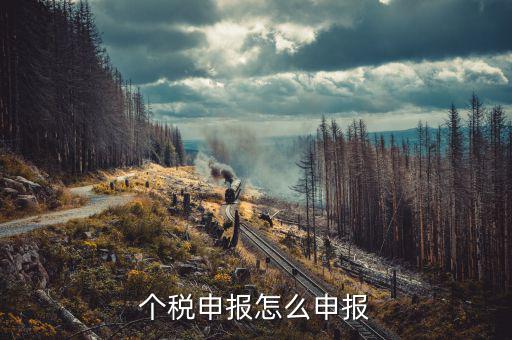 個稅申報(bào)怎么申報(bào)