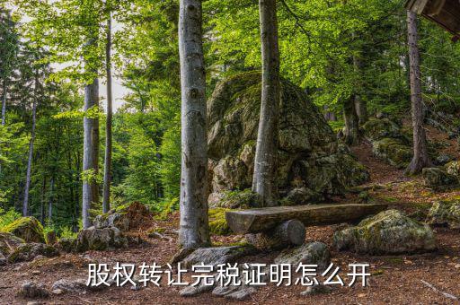 合肥股權(quán)轉(zhuǎn)讓如何開具完稅證明，完稅證明怎么開 如何開具稅收完稅證明