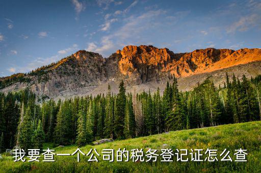 如何查詢稅務登記表，稅務登記證查詢