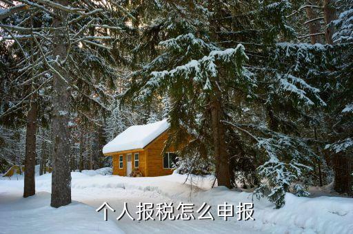 自然人稅務(wù)如何報稅2018，如何報稅