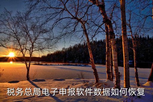 稅友報(bào)稅軟件如何恢復(fù)備份，報(bào)稅軟件卸載后數(shù)據(jù)丟失了怎么恢復(fù)數(shù)據(jù)急