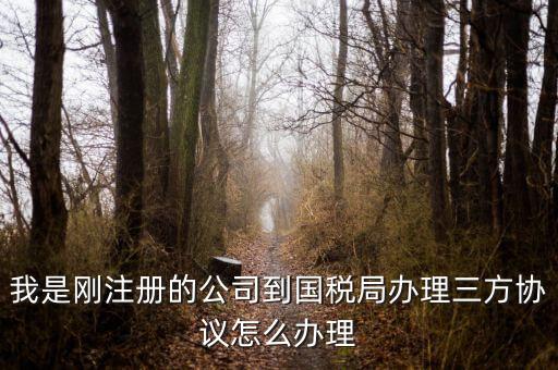 如何激活稅務(wù)三方協(xié)議，稅務(wù)三方協(xié)議怎樣激活