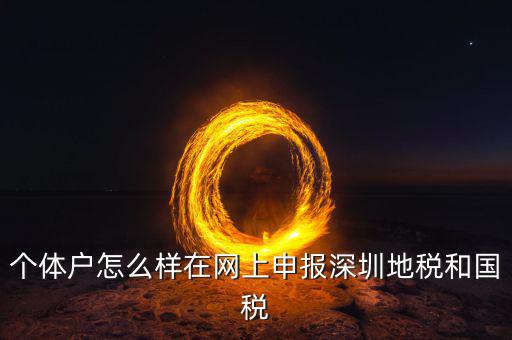 深圳市個(gè)稅如何申報(bào)系統(tǒng)，個(gè)體戶怎么樣在網(wǎng)上申報(bào)深圳地稅和國(guó)稅