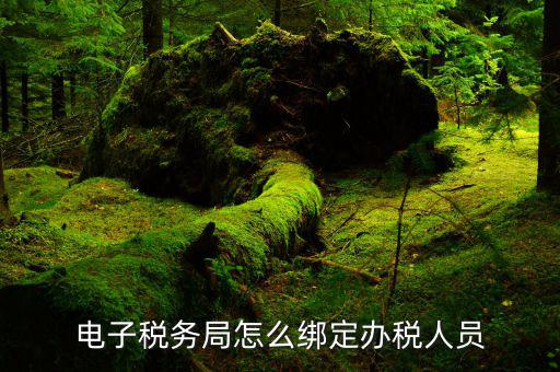 如何在稅務(wù)局添加實(shí)名制辦稅人，電子稅務(wù)局怎么綁定辦稅人員