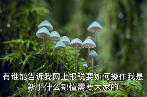 黑龍江如何報稅，黑龍江報稅