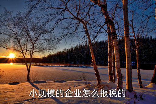 小企業(yè)會(huì)計(jì)如何報(bào)國(guó)稅，企業(yè)會(huì)計(jì)報(bào)稅流程是怎么樣的