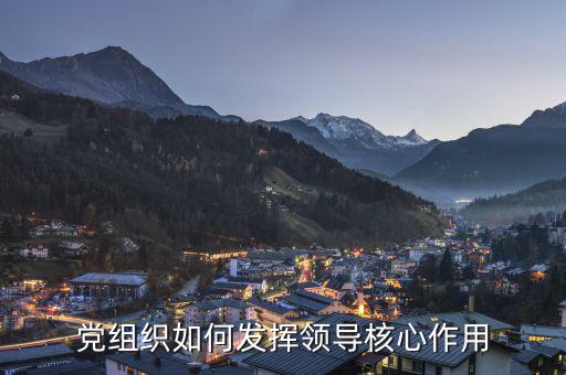 如何發(fā)揮稅務聯合黨組核心領導作用，黨組織如何發(fā)揮領導核心作用