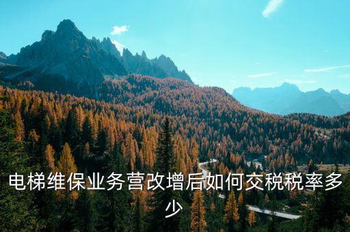 維保電梯如何納稅，麻煩問一下電梯維護(hù)與保養(yǎng)納什么稅稅率是多少 如果我公司銷售