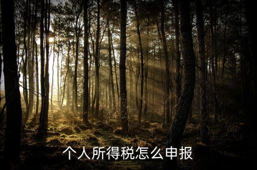 個人所得稅怎么申報(bào)