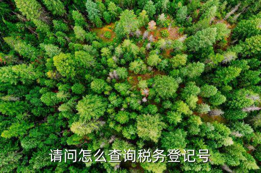 如何查地稅登記號，怎樣在網(wǎng)上查詢國稅和地稅登記號
