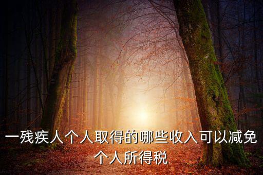 殘疾人減免個稅如何做賬，有殘疾人免稅證明在個人所得稅申報系統(tǒng)中如何填寫急