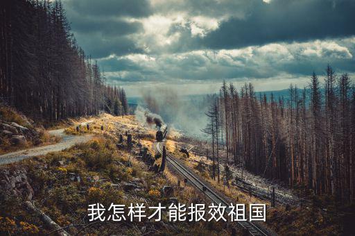 開的稅如何報(bào)效，報(bào)效祖國最好的辦法是什么