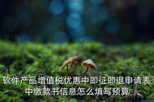 即征即退的退稅申請表如何填寫，軟件產(chǎn)品增值稅優(yōu)惠中即征即退申請表中繳款書信息怎么填寫預(yù)算