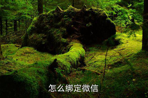 微信如何綁定深圳國稅，怎么綁定微信