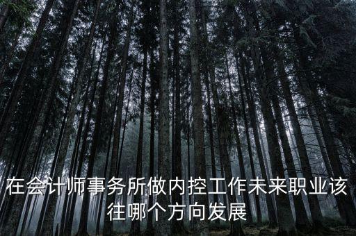 稅務(wù)內(nèi)控工作如何，如何搞好稅務(wù)所管理員內(nèi)控機(jī)制建設(shè)