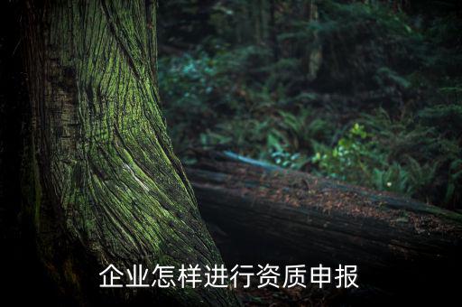 如何介質(zhì)申報(bào)，油罐車(chē)介質(zhì)怎么規(guī)定