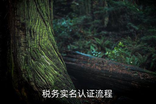 四川省稅務(wù)局如何實(shí)名采集信息，四川網(wǎng)上稅務(wù)局12366掌廳怎么實(shí)名采集掃哪個(gè)二維碼