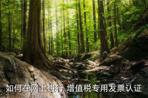 增值稅專用票如何在網(wǎng)上申請，購買增值稅專用發(fā)票要先在網(wǎng)上怎么操作