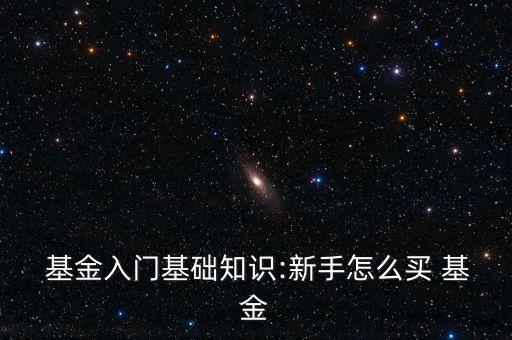  基金入門(mén)基礎(chǔ)知識(shí):新手怎么買 基金