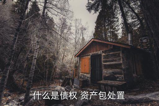 資產(chǎn)包怎么買賣,政府將為債權資產(chǎn)打包處置或拍賣