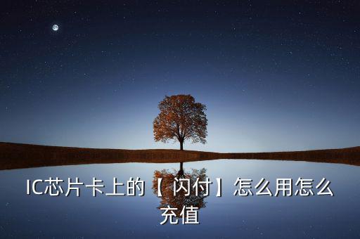 閃付卡怎么充錢,登錄電子錢包向金融通支付網(wǎng)關發(fā)送支付指令