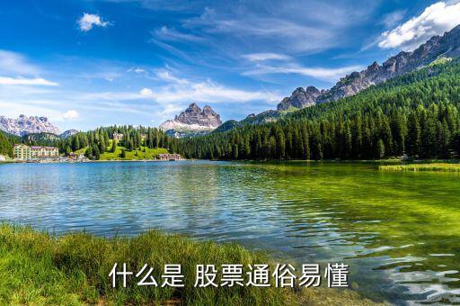 怎么懂股票,股票基礎(chǔ)、股票定投、投資書籍等資源免費(fèi)下載