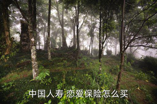 戀愛(ài)保險(xiǎn)怎么買,戀愛(ài)保險(xiǎn)根據(jù)保監(jiān)會(huì)要求下架已完全停售