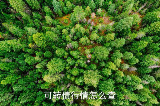 債券傭金怎么查,證券投資官網(wǎng)查詢(xún)方式（一）