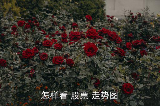 怎么看股票走勢(shì)圖圖解,k線圖一般稱為主圖，包含k線和均線