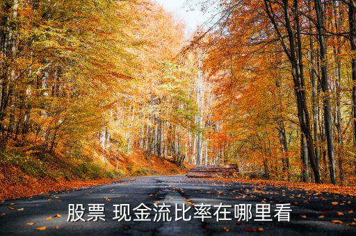 股票賬面現(xiàn)金怎么看,股票賬戶(hù)資產(chǎn)總資產(chǎn)的總和