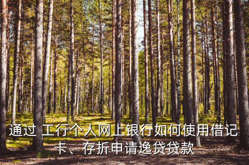 通過(guò) 工行個(gè)人網(wǎng)上銀行如何使用借記卡、存折申請(qǐng)逸貸貸款