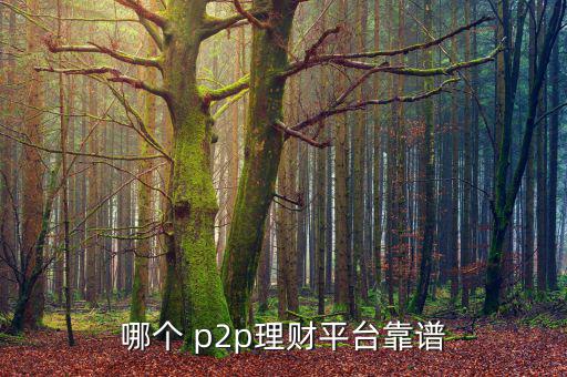 哪個 p2p理財(cái)平臺靠譜