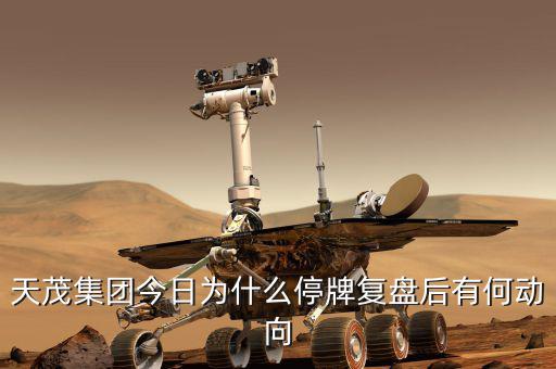 天茂集團(tuán)什么時(shí)候開盤，天茂集團(tuán)今日為什么停牌復(fù)盤后有何動(dòng)向