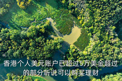 美元在香港投資什么比較好，香港個(gè)人美元賬戶已超過5萬美金超過的部分聽說可以購(gòu)買理財(cái)