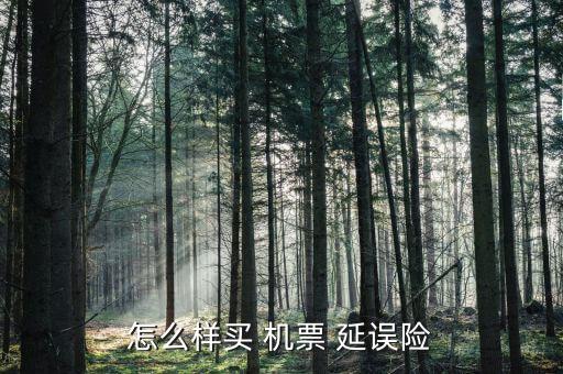 怎么樣買 機(jī)票 延誤險