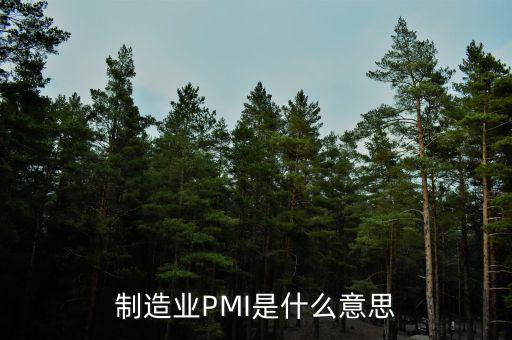 什么是pmi，制造業(yè)PMI是什么意思