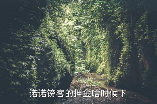 諾諾鎊客里的收本金額是什么，諾諾鎊客的押金啥時(shí)候下