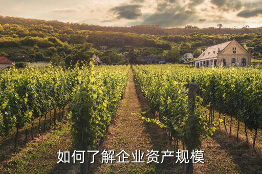 資產(chǎn)規(guī)模是什么，如何計(jì)算企業(yè)資產(chǎn)規(guī)模