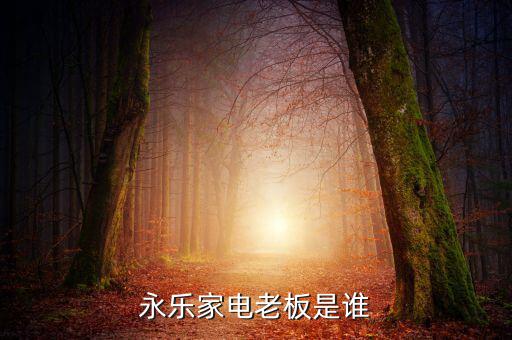 永樂家電老板是誰(shuí)